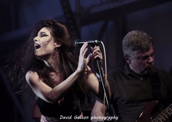 Picture of Dogma in concert taken by David Gasson