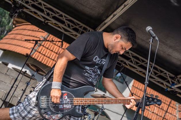 Picture of Los Pogos in concert taken by Iuliana Pasca