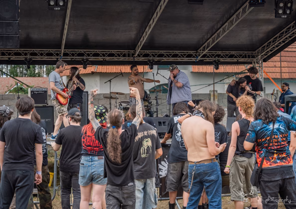 Picture of Los Pogos in concert taken by Iuliana Pasca