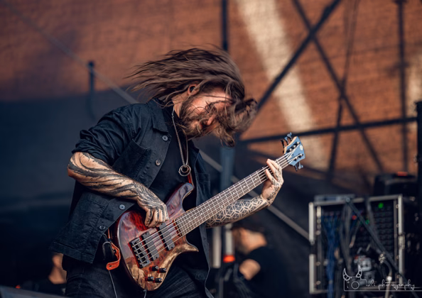 Picture of Vestige in concert taken by Iuliana Pasca