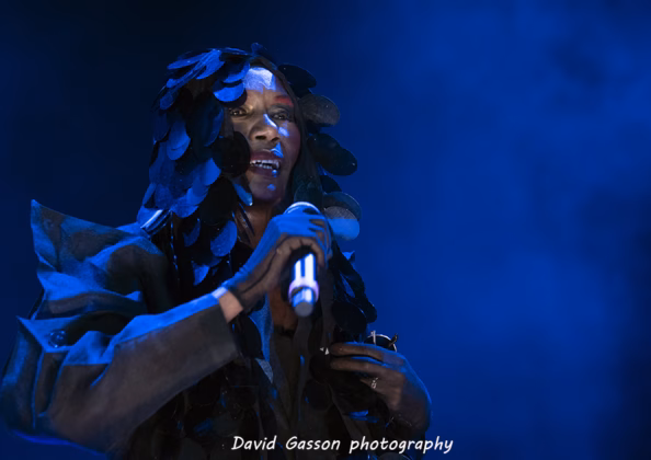Picture of Grace Jones in Concert in Pula taken by David Gasson