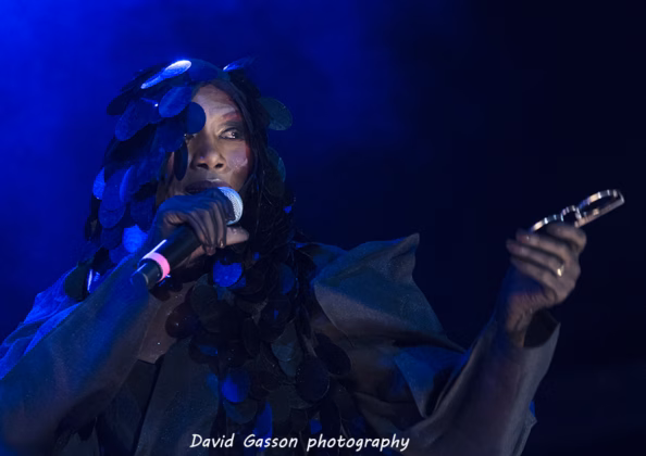 Picture of Grace Jones in Concert in Pula taken by David Gasson