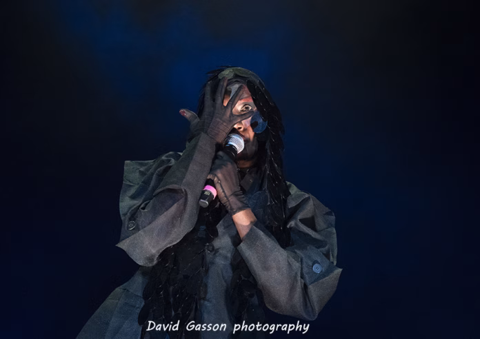 Picture of Grace Jones in Concert in Pula taken by David Gasson