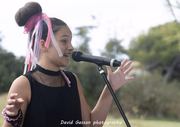 A picture of Zoe Šestan in concert taken by David Gasson
