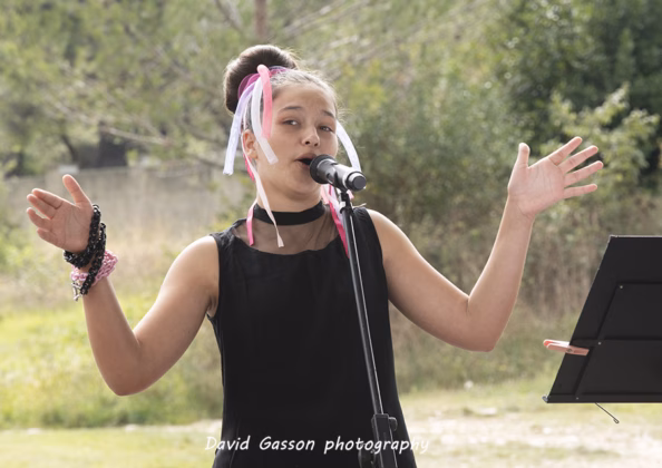 A picture of Zoe Šestan in concert taken by David Gasson