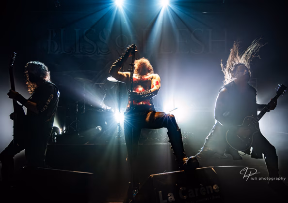 Picture of Bliss of Flesh in concert taken by Iuliana Pasca