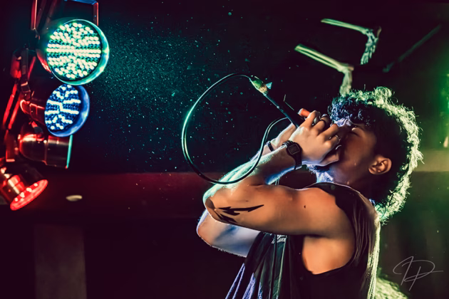 Picture of Frontkill in concert taken by Iuliana Pasca