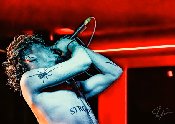 Picture of Frontkill in concert taken by Iuliana Pasca