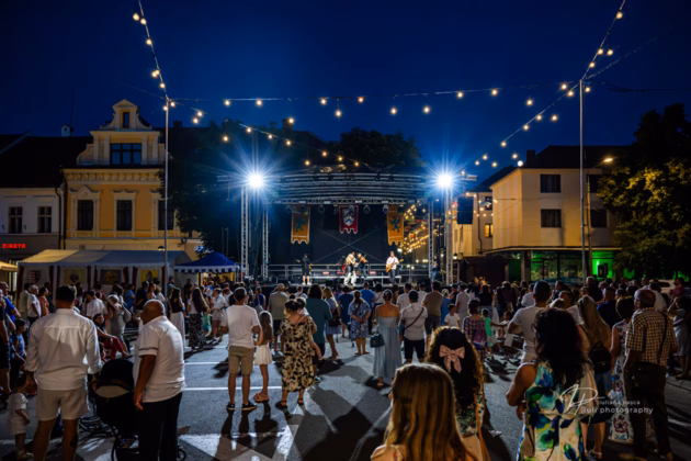A picture of Ilinca in concert taken by Iuliana Pasca