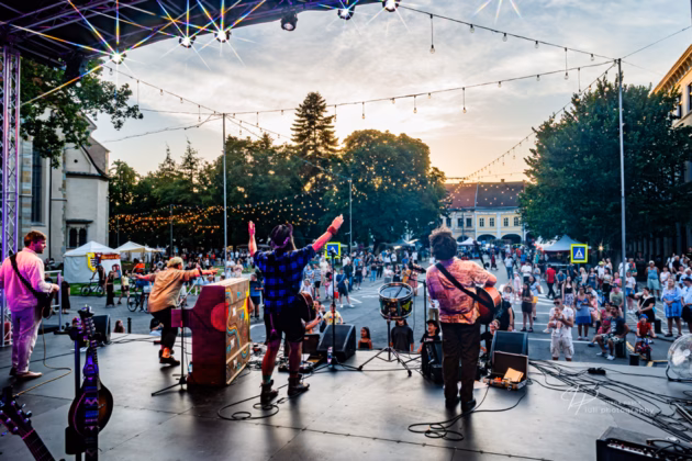 A picture of Mano & Gregor in concert taken by Iuliana Pasca