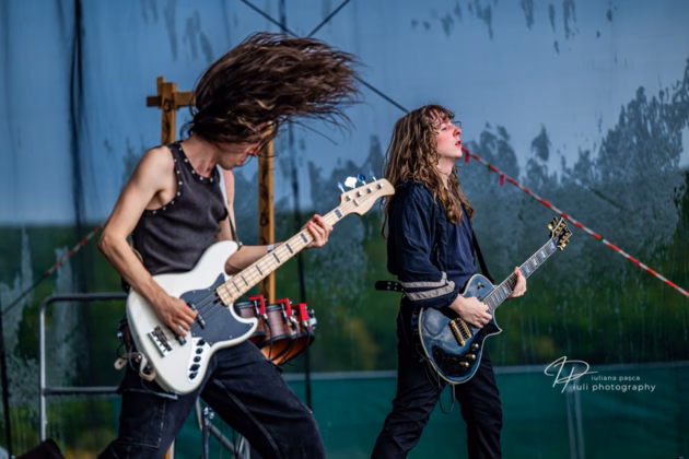 A picture of Fittonia in concert taken by Iuliana Pasca
