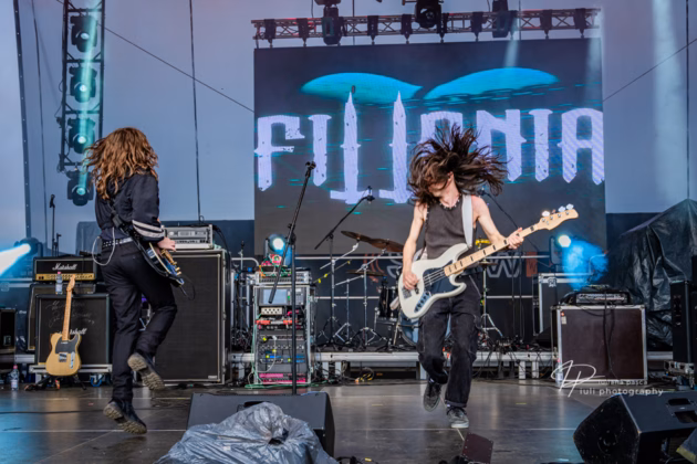 A picture of Fittonia in concert taken by Iuliana Pasca